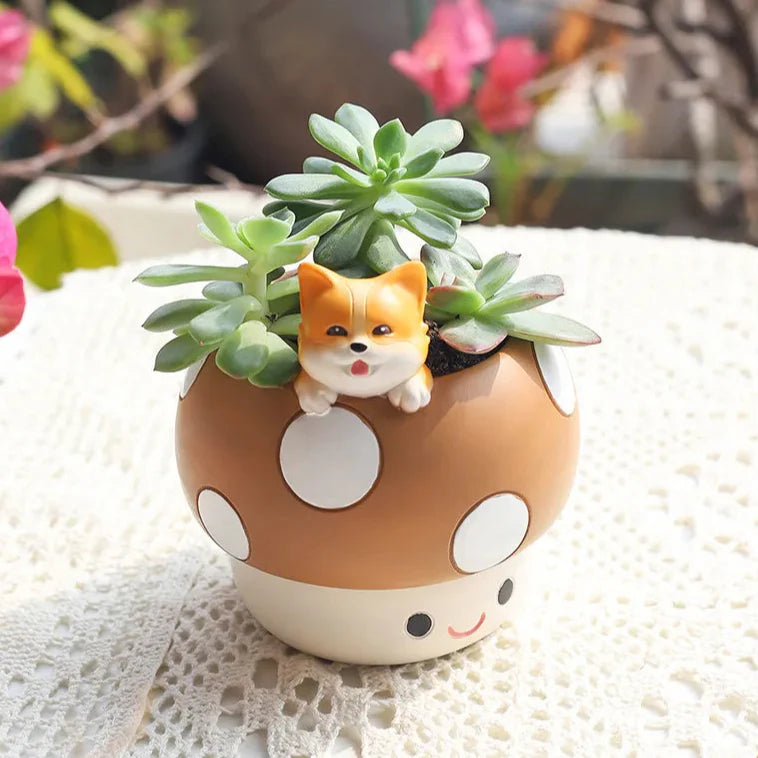 Mushroom Succulents Plant Pots