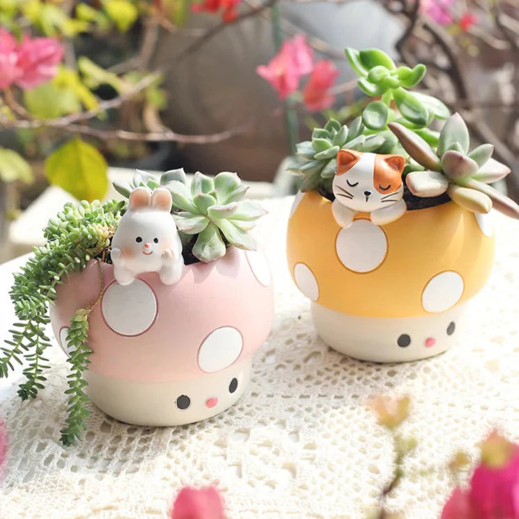 Mushroom Succulents Plant Pots